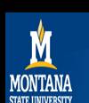 Montana State University in Bozeman